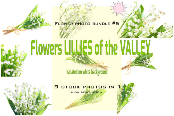 Flowers Lilly of the Valley: 9 Stock Photos for Designers